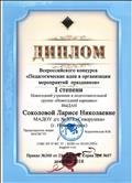 Диплом Всероссийского конкурса "Педагогические идеи в организации мероприятий праздников 1 степени Новогодний утренник в подготовительной группе  "Новогодний карнавал", 2016 год